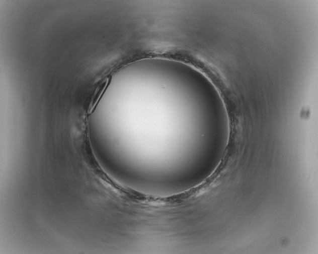 X0000095111349200712071207