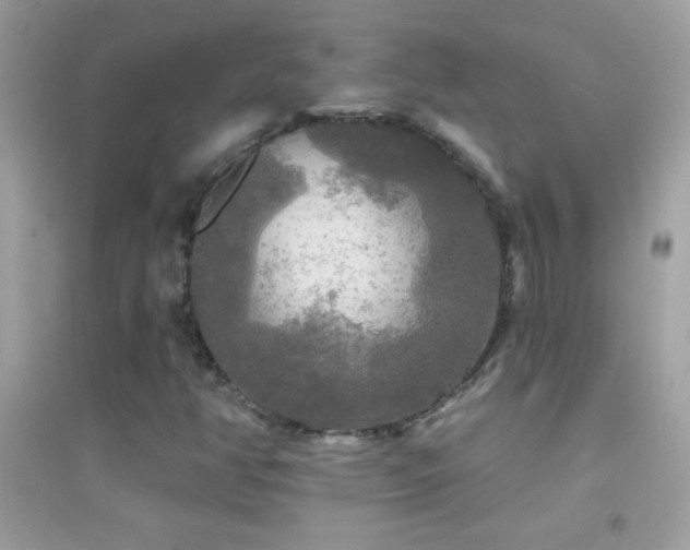 X0000095111350200712071207