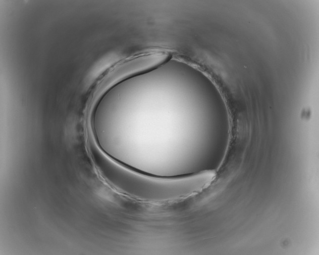 X0000095111352200712071207