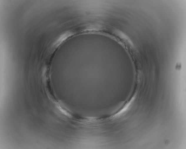 X0000095111353200712071207