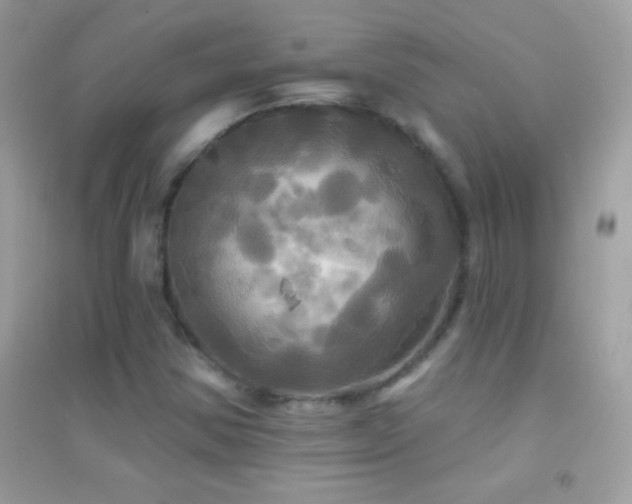 X0000095111354200712071207