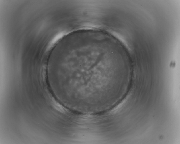 X0000095111355200712071207