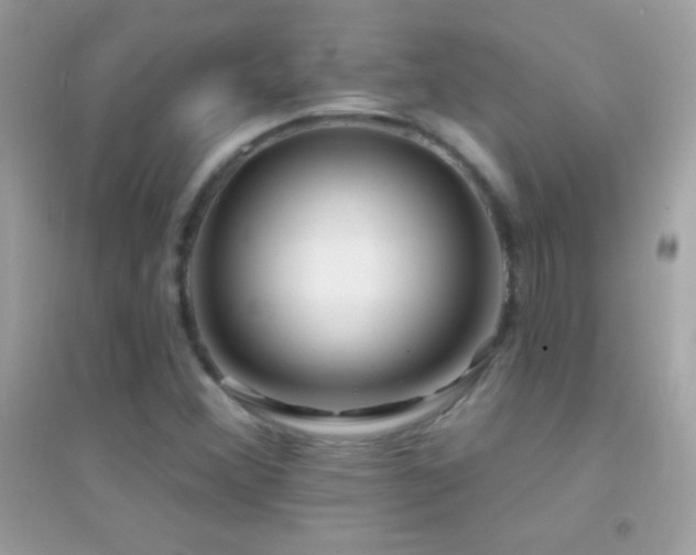 X0000095111356200712071207