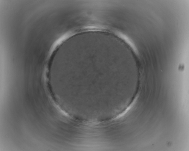 X0000095111357200712071207