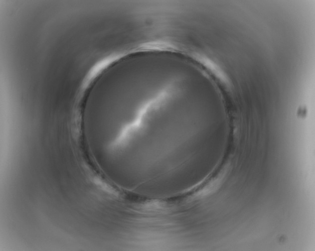 X0000095111358200712071207
