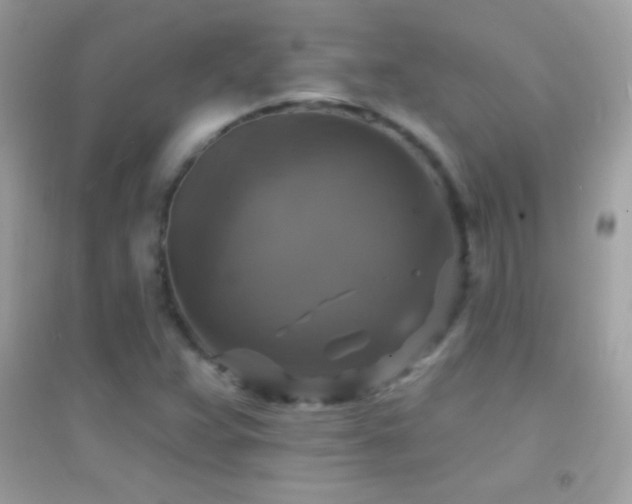 X0000095111359200712071207