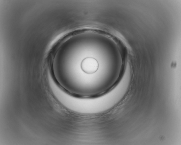 X0000095111360200712071207
