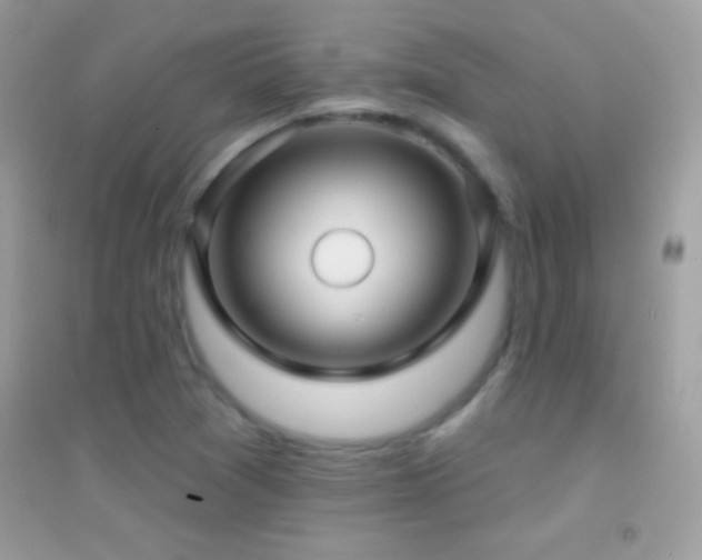 X0000095111361200712071207
