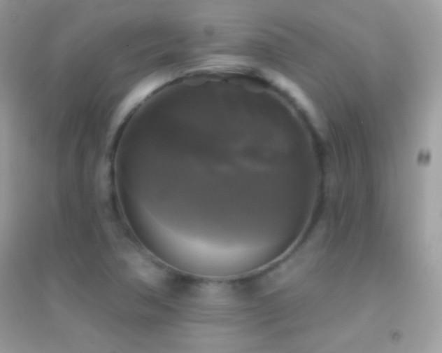 X0000095111362200712071207