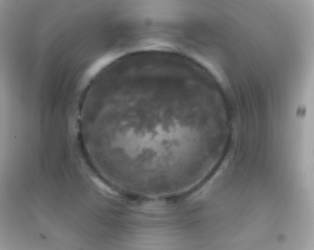 X0000095111363200712071207
