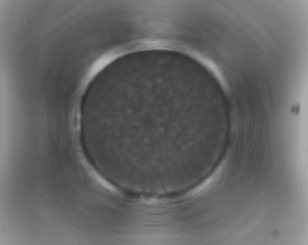 X0000095111365200712071207