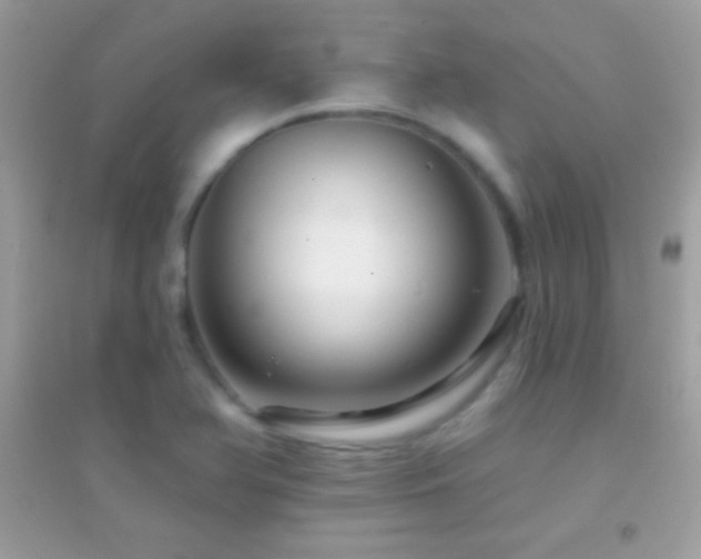 X0000095111366200712071207