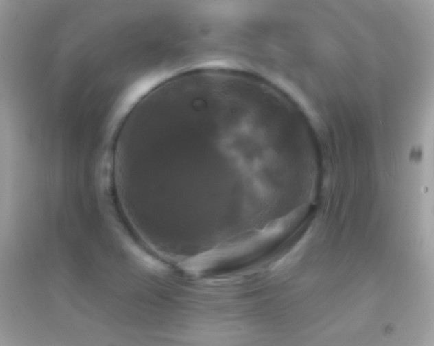 X0000095111367200712071207