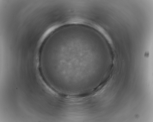 X0000095111368200712071207