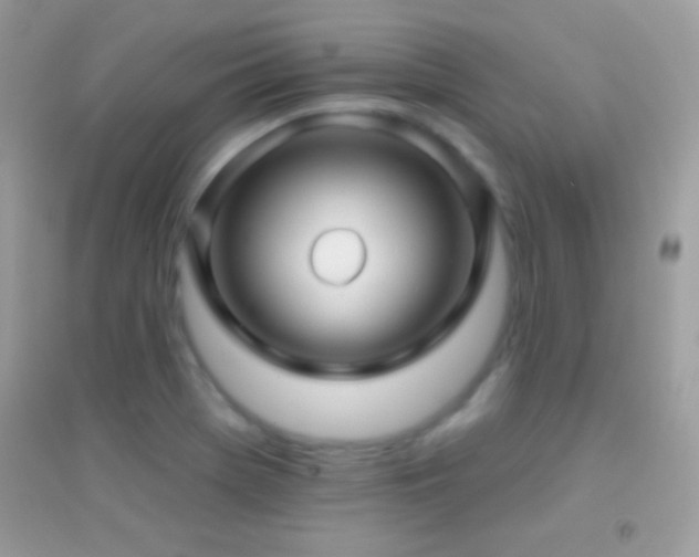 X0000095111369200712071207