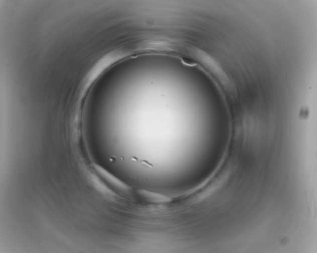 X0000095111370200712071207