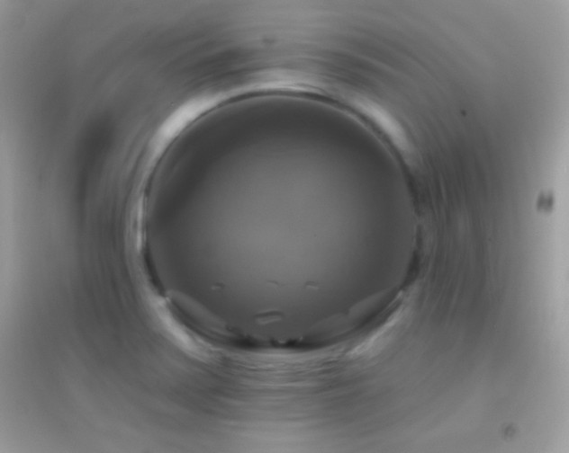 X0000095111371200712071207