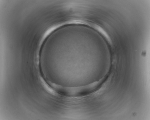 X0000095111372200712071207
