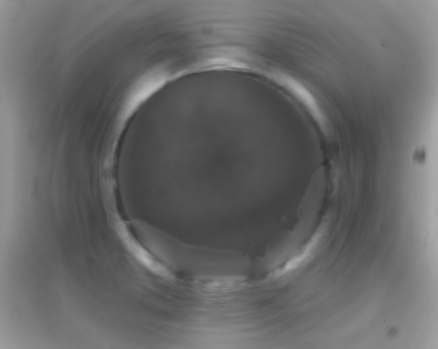 X0000095111373200712071207