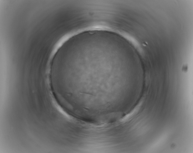 X0000095111374200712071207
