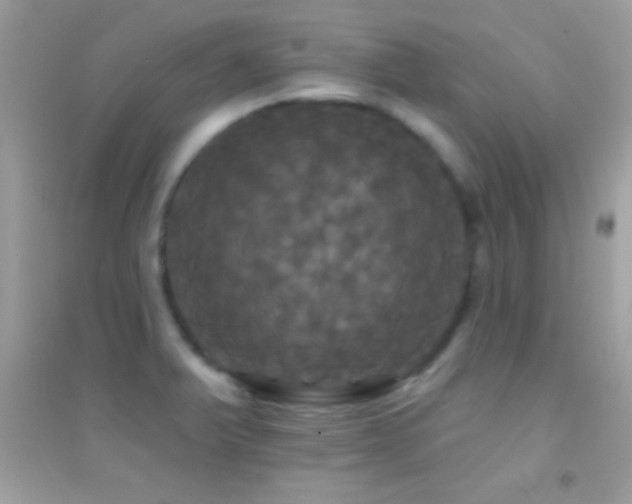 X0000095111375200712071207