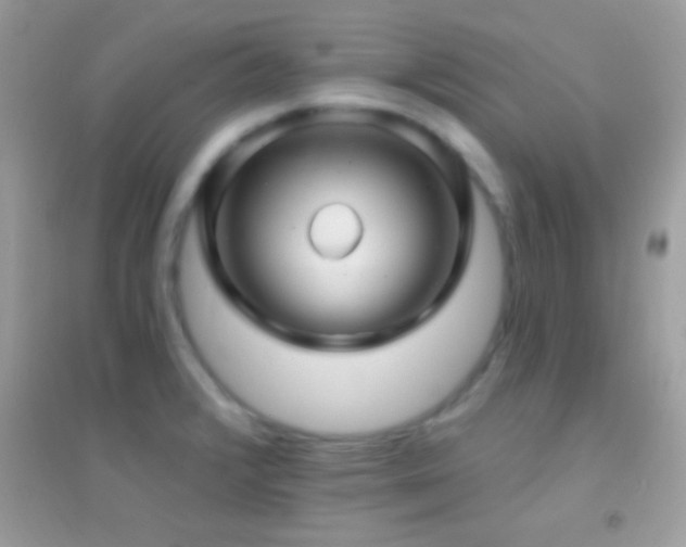 X0000095111376200712071207