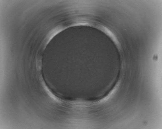 X0000095111377200712071207