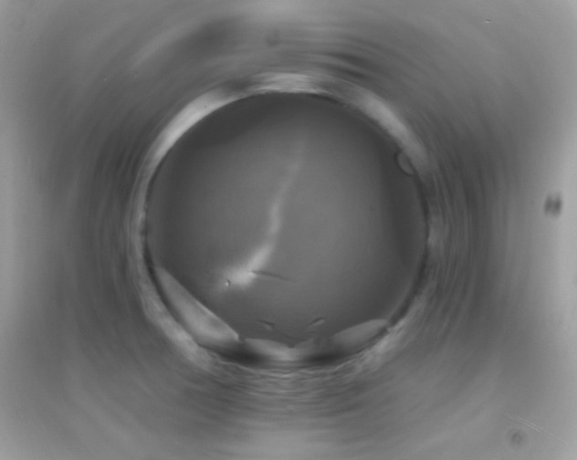 X0000095111378200712071207