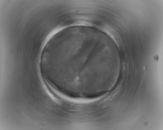 X0000095111379200712071207