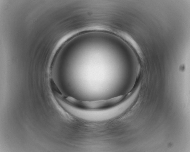 X0000095111380200712071207