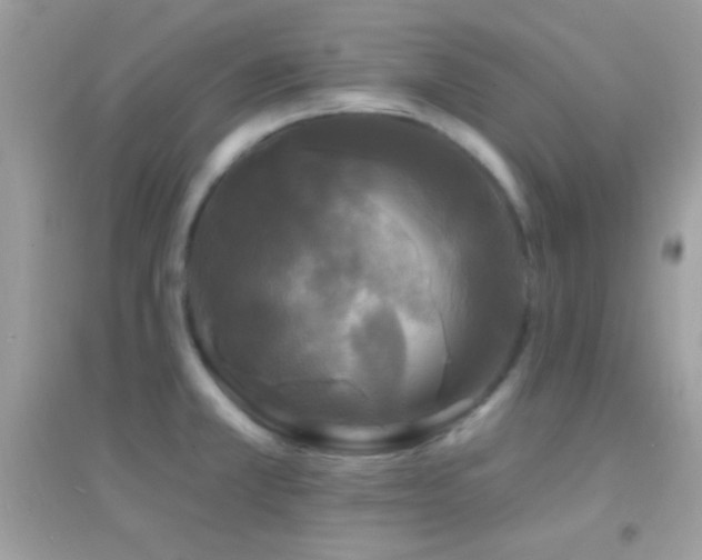 X0000095111381200712071207