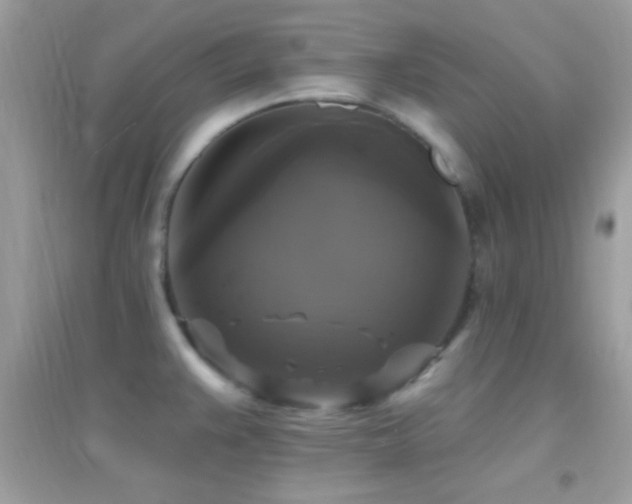 X0000095111383200712071207