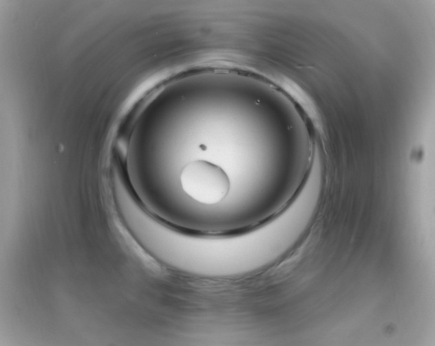 X0000095111384200712071207