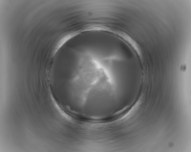 X0000095111385200712071207