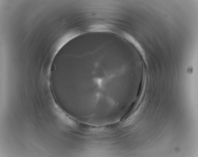 X0000095111386200712071207