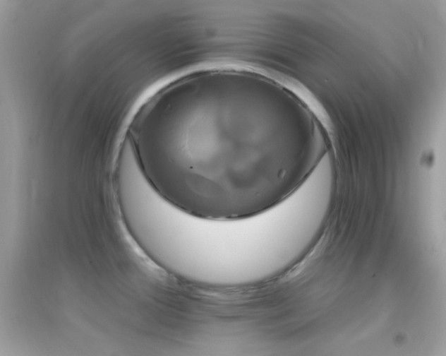 X0000095111388200712071207