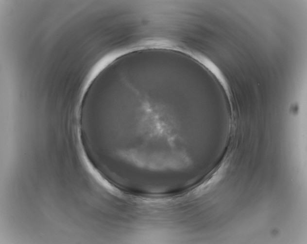 X0000095111389200712071207