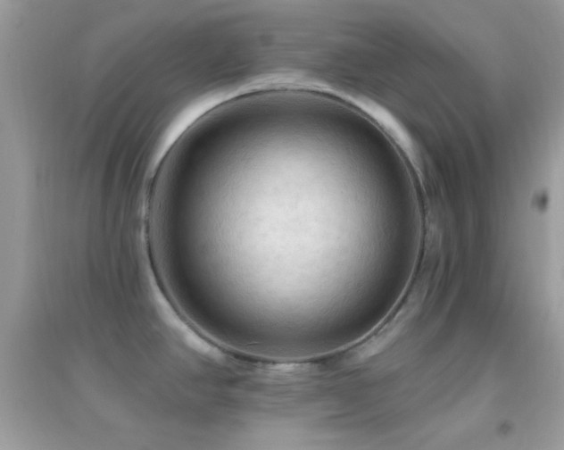 X0000095111390200712071207