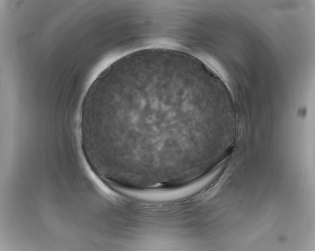 X0000095111391200712071207
