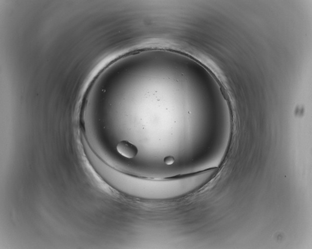 X0000095111392200712071207