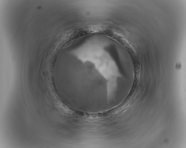 X0000095111393200712071206