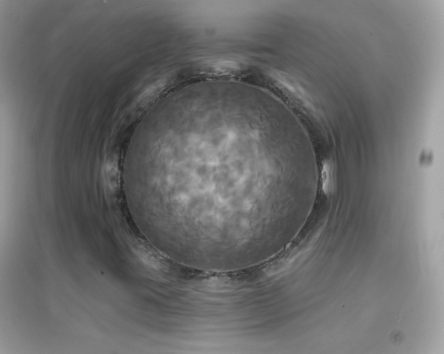 X0000095111395200712071206