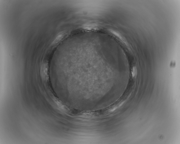 X0000095111396200712071206