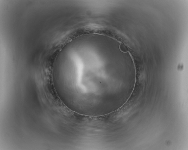 X0000095111397200712071206