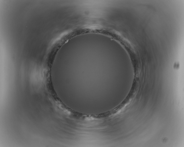 X0000095111398200712071206