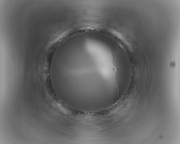 X0000095111399200712071206