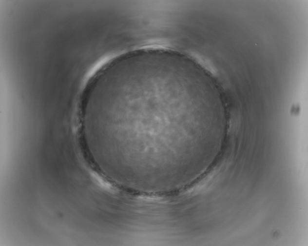 X0000095111400200712071206