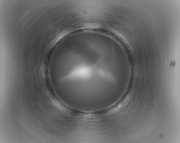 X0000095111401200712071206