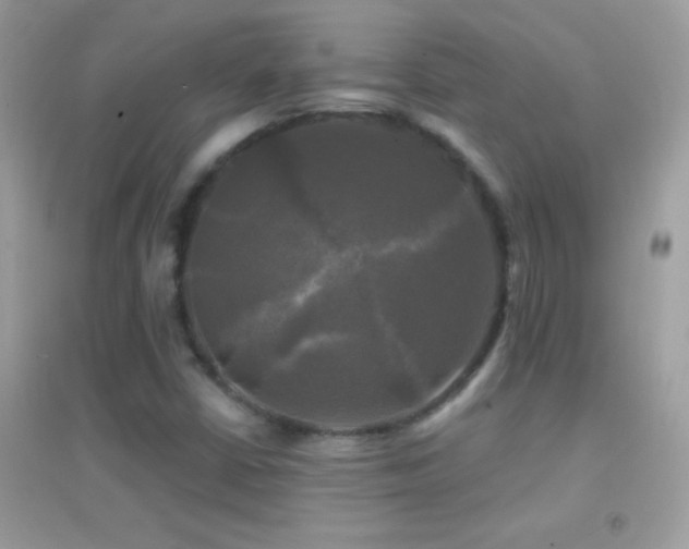 X0000095111402200712071206