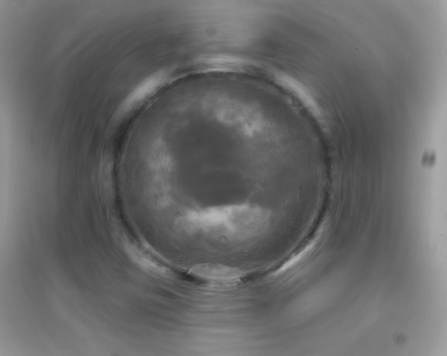 X0000095111403200712071206